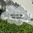 라온(RAON) | [아이랑 세부] 세부 라온스퀘어 아이랑 0.5박 숙소 라온스퀘어, 세부 입국 팩 세부 출국 팩