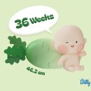 조은맘산부인과의원 네이버블로그