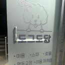 스틸블루 애견샵 | 인천 남동구 애견미용 잘하는곳 스트레스없이 케어해주는 전문샵