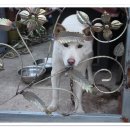 금이농장 이미지