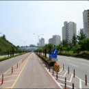후광대로 더 한국타임즈