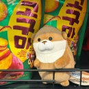 남다른썬치킨 (연산1호점) | Ep. 55 머릿속이 맑아진 날