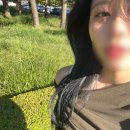 와이이엘 이미지
