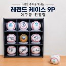 MLB야구 싸인볼 케이스, 야구공보관함 추천 [레전드 케이스 9p] 찐 사용 후기