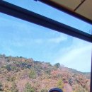 하동 케이블카 함양상림공원 거창수승대 출렁다리 1박2일 이미지