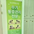 오산컴퓨터 - 오산시 오산로 65 | 오산 체형관리 마사지, 거북목 통증 해결 후기