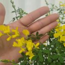 별빛농원 이미지