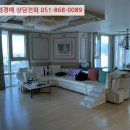 2019-주108 이미지