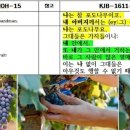 (주)포도 이미지