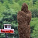 세계에서 흥미로운 대회들 이미지