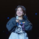 홀릭스