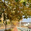 대한적십자사 앞 버스정류장 이미지