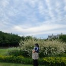 올인원에듀 - 계양구 오조산로 83 | 포그내 맥스플로우 올인원 아기띠 3in1 내돈내산 장단점 솔직 후기