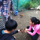 인애농장 이미지