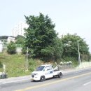 대천동-7 이미지