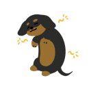 제이앤제이(J&J) 이미지