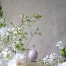 조플라워스튜디오 이미지