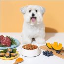 진 소프트 | 대체불가 닥터소프트 NEW 라인업! 더 맛있어진 비프 사료 17개월 강아지 급여 후기