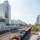 H1157 이미지