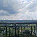 계룡공인중개사사무소 | 🏠 복이들어오는황금공인중개사사무소 – 계룡에서 믿고 찾는 부동산 중개 공간