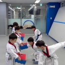 이룸 태권도 | 즐겁게 배우는 모습이 인상적! 검단태권도 전문 <이룸태권도> 만족리뷰