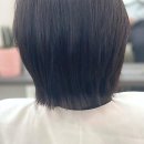펫디자이너 시나 | 범계미용실 찾는다면, 여기는 어때요? 그룸브리에 방문기와 솔직한 소감
