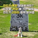 댕댕그라운드 | 한 마리도 안 붙음! 강아지 2026 홍천 댕댕트레킹, 악평 후기 속 살아남은 꿀팁 총정리 (feat. 입장료...