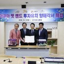 경기관상어 이미지