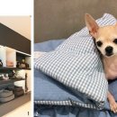 홈플러스 동수원점 수족관 이미지