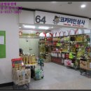 코끼리인삼사