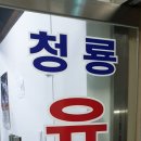 용인대 청룡유도관 네이버블로그