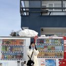 (주)고려여행 | 삿포로 비에이 버스투어 여행한그릇 라이카 코스 대만족 후기 (with 곽기호 안내원)