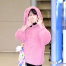 핑크토끼 이미지