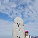 수피아리본 이미지