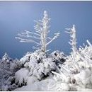 비고리조트 16 이미지