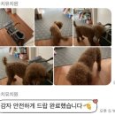 올치유치원 이미지