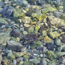 덕원물양장 이미지