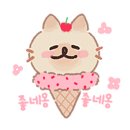 서귀포감귤