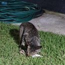 카사엘리오 이미지