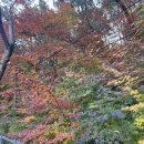 양반축산포크(주) | 가을 등산 추천🍁 직접 다녀온 단풍 명소 산행 후기