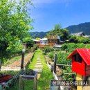 경남고성부동산 고성시골집촌집매매 - 동해면 바다 인근 텃밭과 정원이 예쁜 아궁이가 있는 무허가 촌집 시골집매매 468제곱미터(141. 이미지