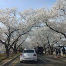 강변길-서천 이미지