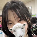 예뜰푸드