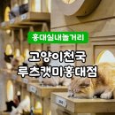 가마치통닭 서울서강대점 | 홍대 고양이카페 추천｜아이와 함께 가기 좋은 루프캣미 홍대점 후기 (방탈출 체험까지!)