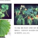 한국바이오비료