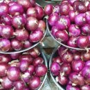 광명한증막 이미지