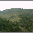 태순여행사 이미지