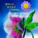 창현로 이미지