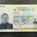 운전면허 갱신, 실수하면 범죄자? 과태료부터 준비물까지 한눈에 살펴보기 이미지