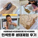 희망곤충농장 | 부산곤충체험 굼벵이 사슴벌레 관찰 가능한 인섹트루 방문후기